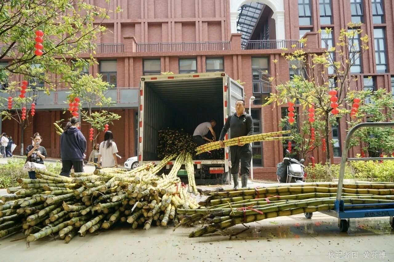 威廉希尔中文网站