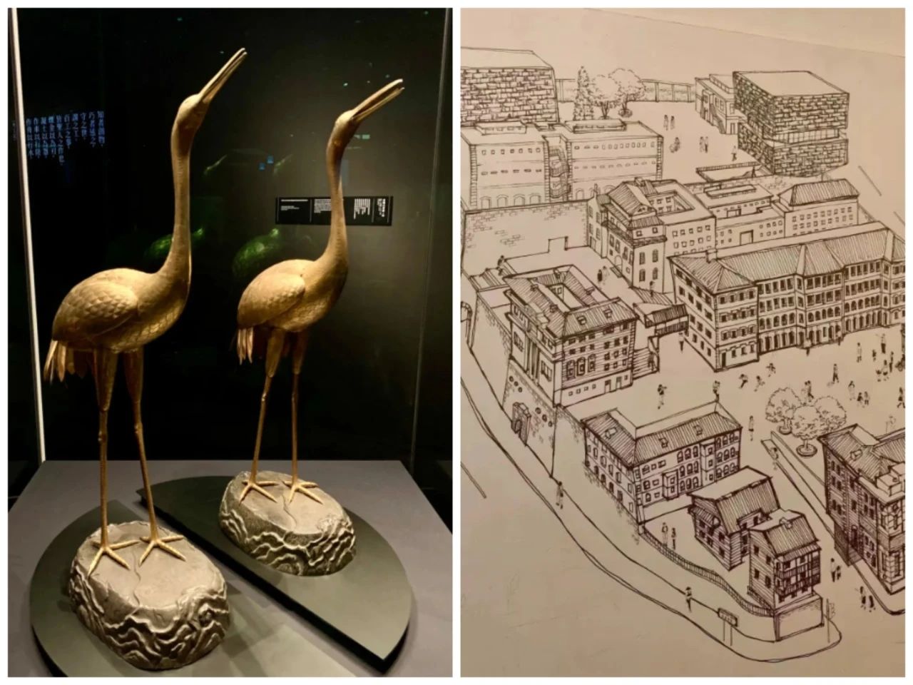 威廉希尔中文网站