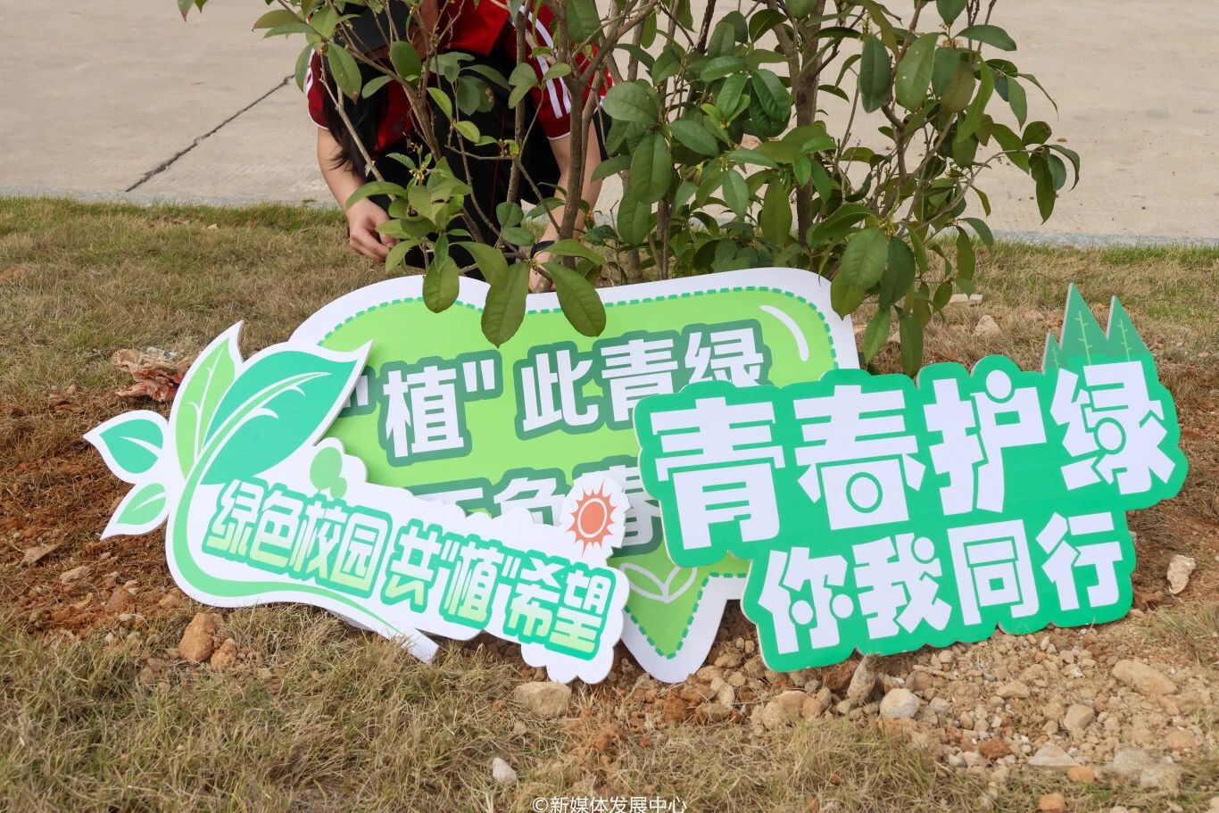 威廉希尔中文网站