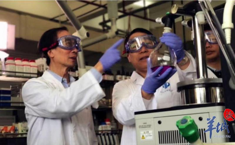 威廉希尔中文网站