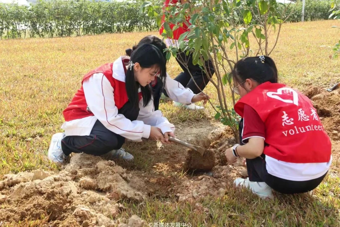 威廉希尔中文网站