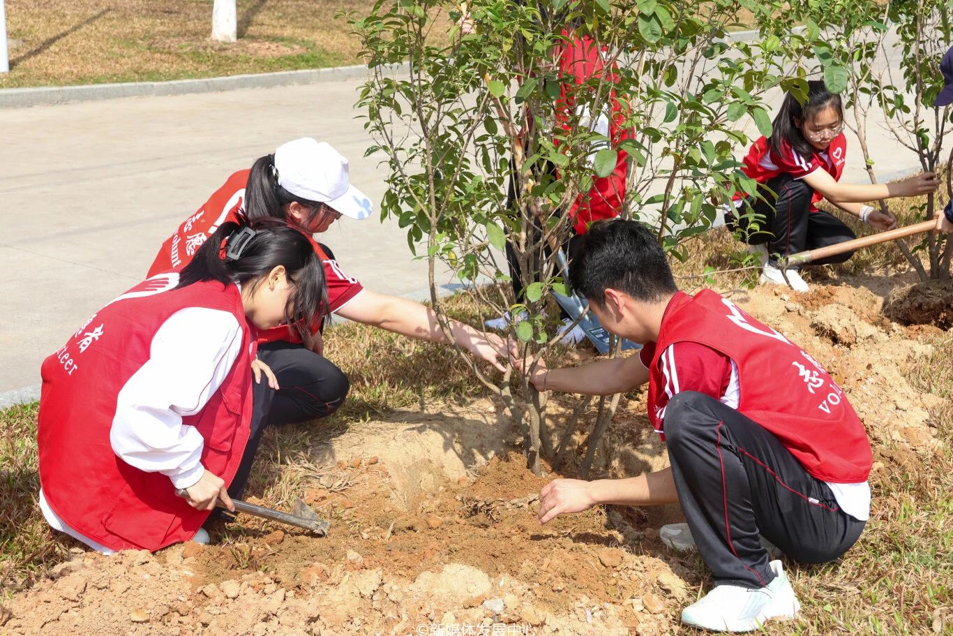 威廉希尔中文网站