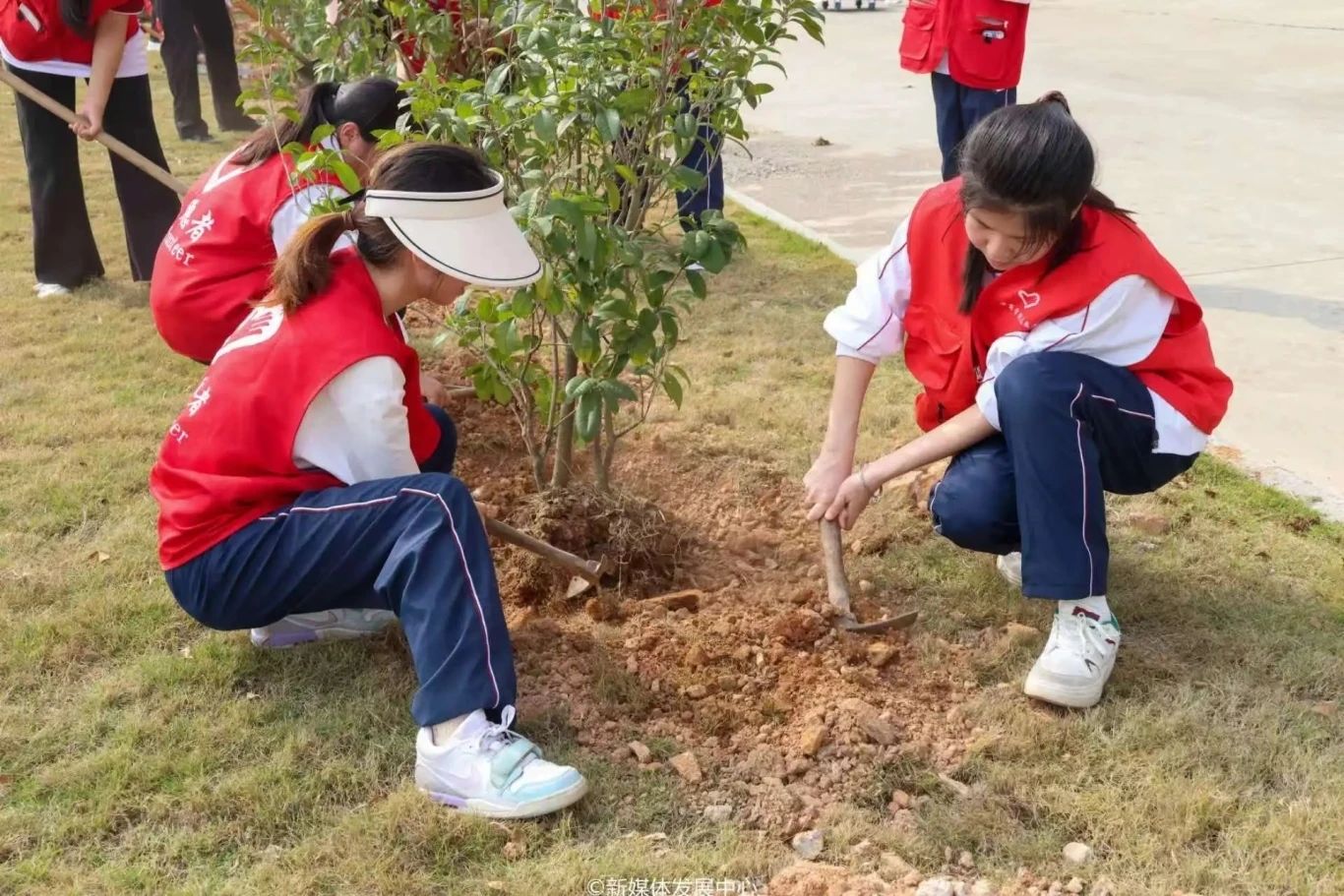 威廉希尔中文网站