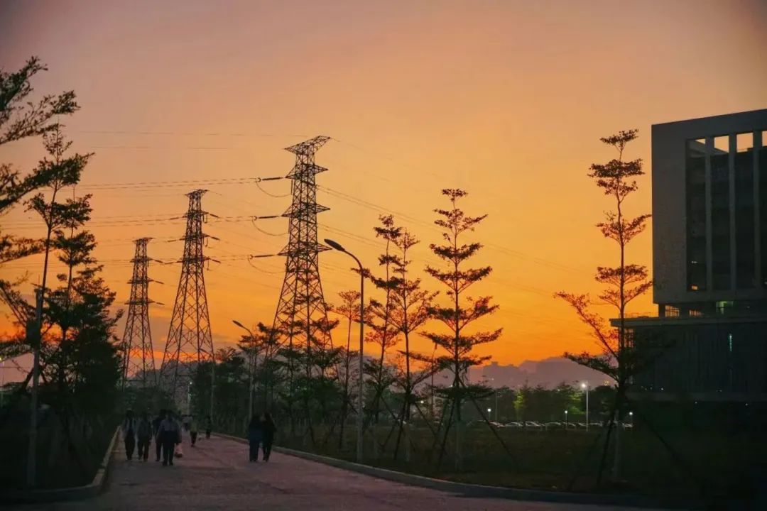 威廉希尔中文网站