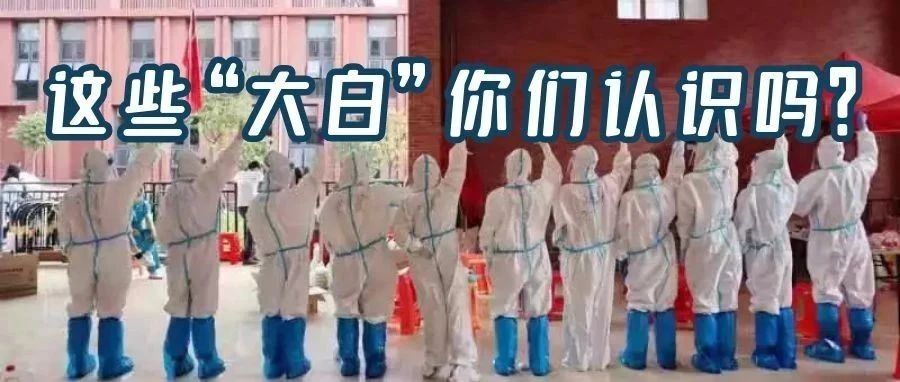 威廉希尔中文网站