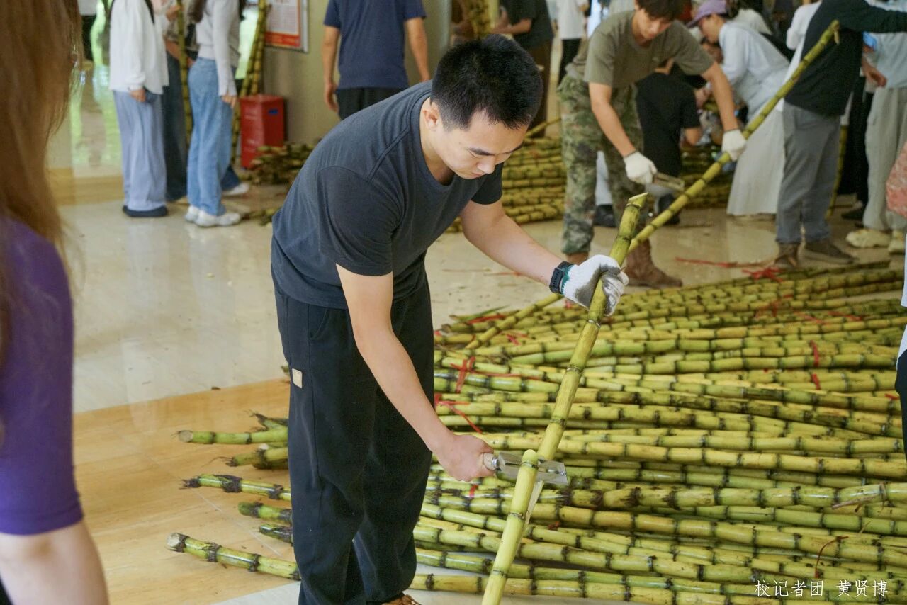 威廉希尔中文网站