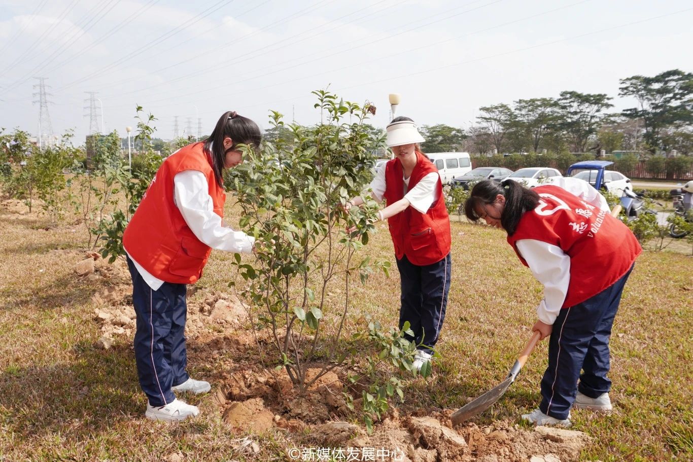 威廉希尔中文网站