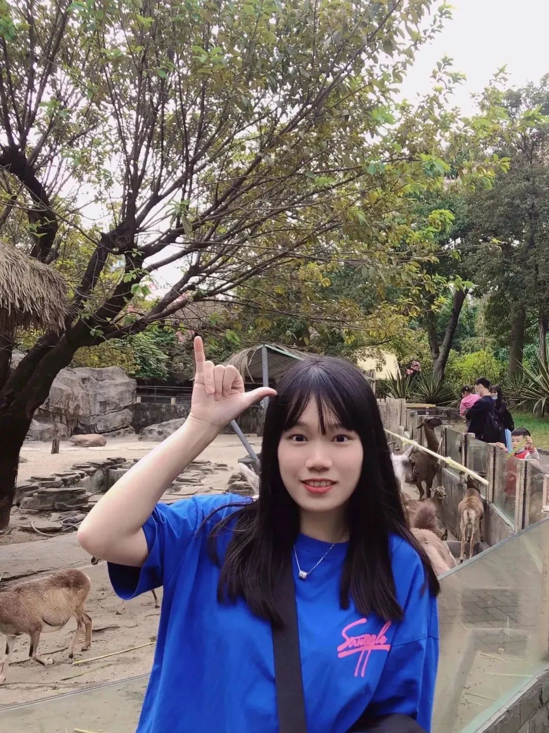 威廉希尔中文网站