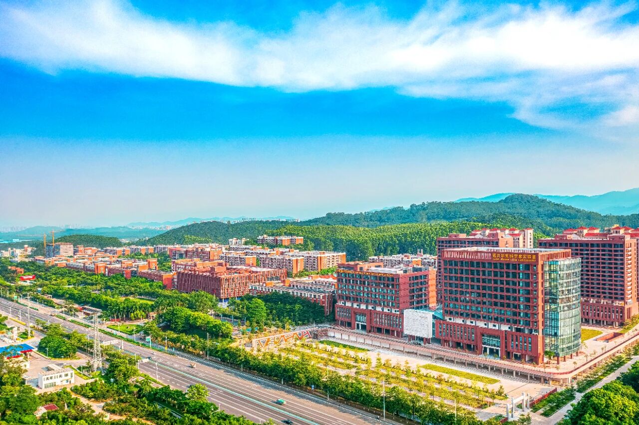 威廉希尔中文网站