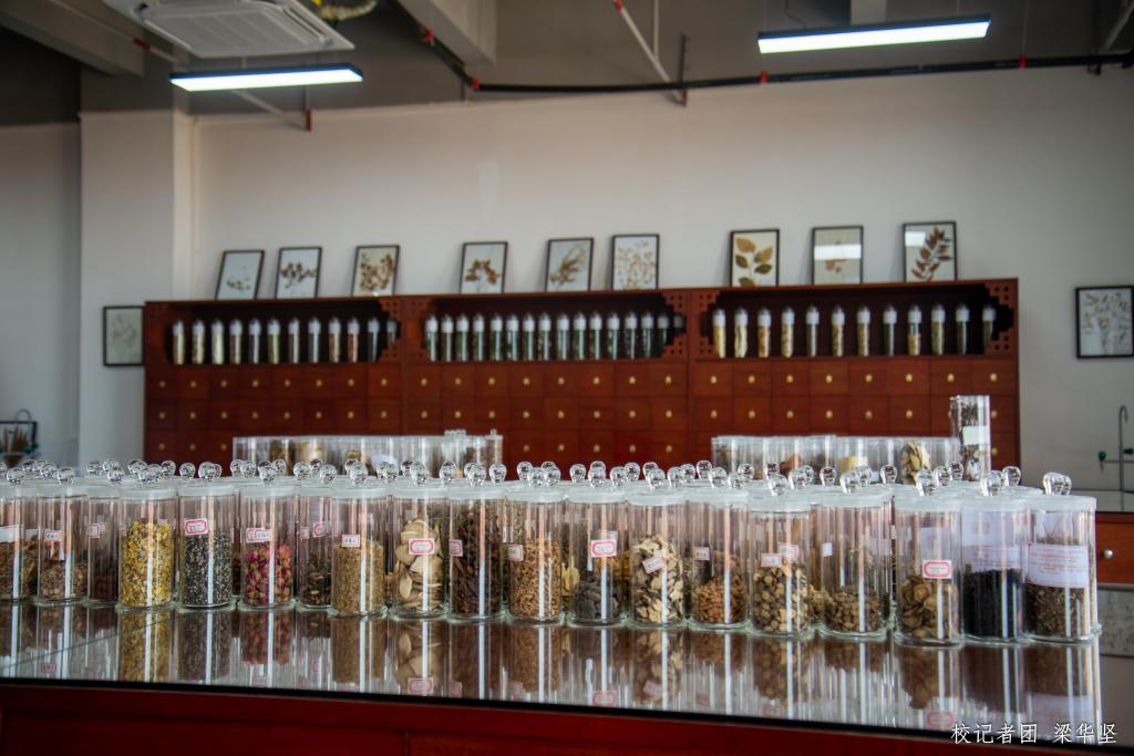 威廉希尔中文网站