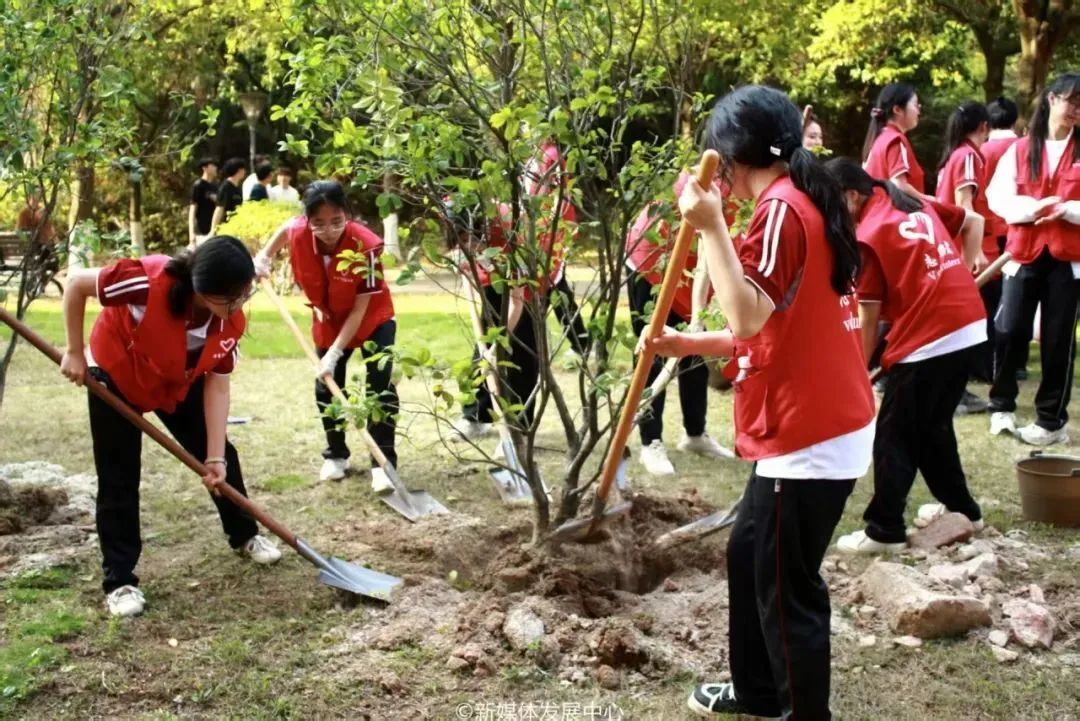 威廉希尔中文网站