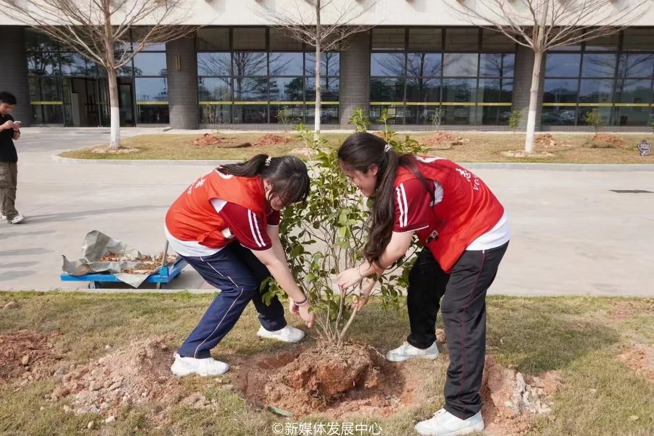 威廉希尔中文网站