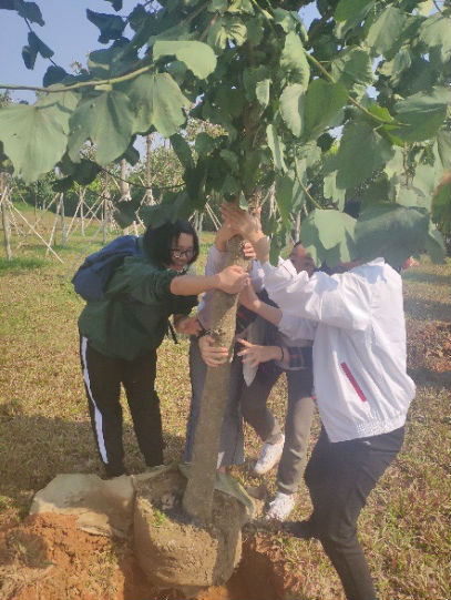 威廉希尔中文网站