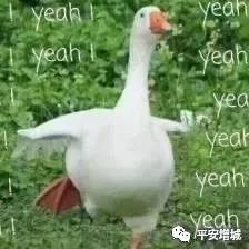 威廉希尔中文网站