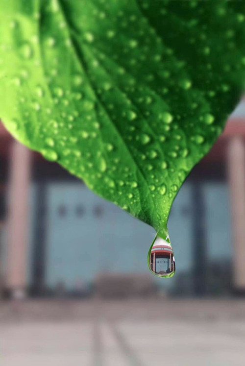 威廉希尔中文网站