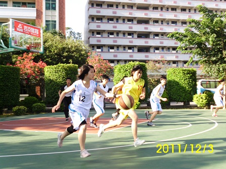 威廉希尔中文网站